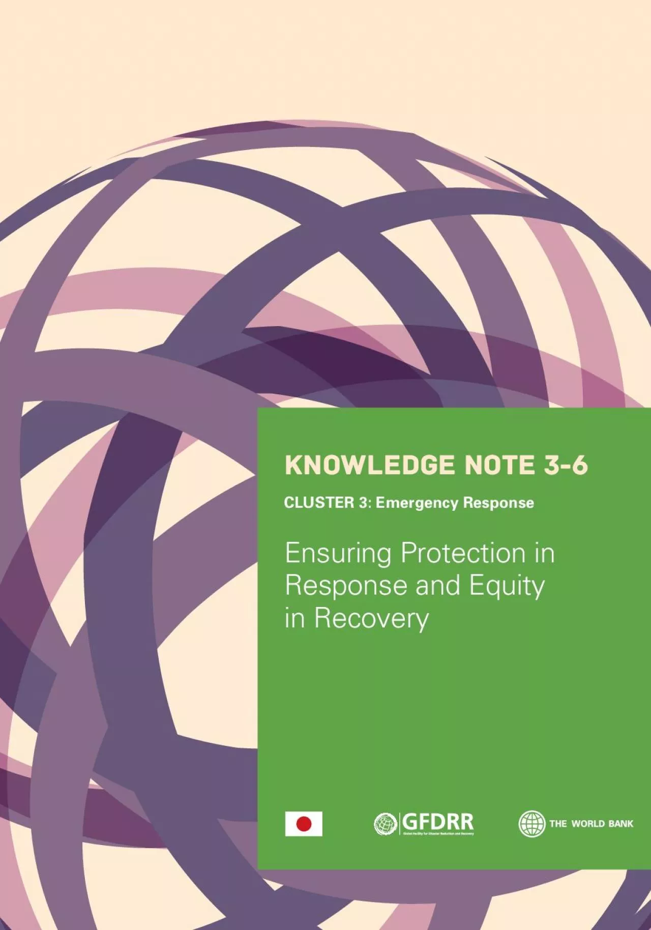 PDF-Ensuring Protection in Response and Equity in Recovery