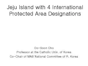 Jeju Island with 4 International