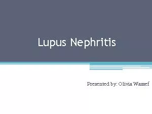 Lupus Nephritis