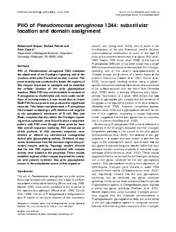 PilOofPseudomonasaeruginosa1244subcellularlocationanddomainassignment