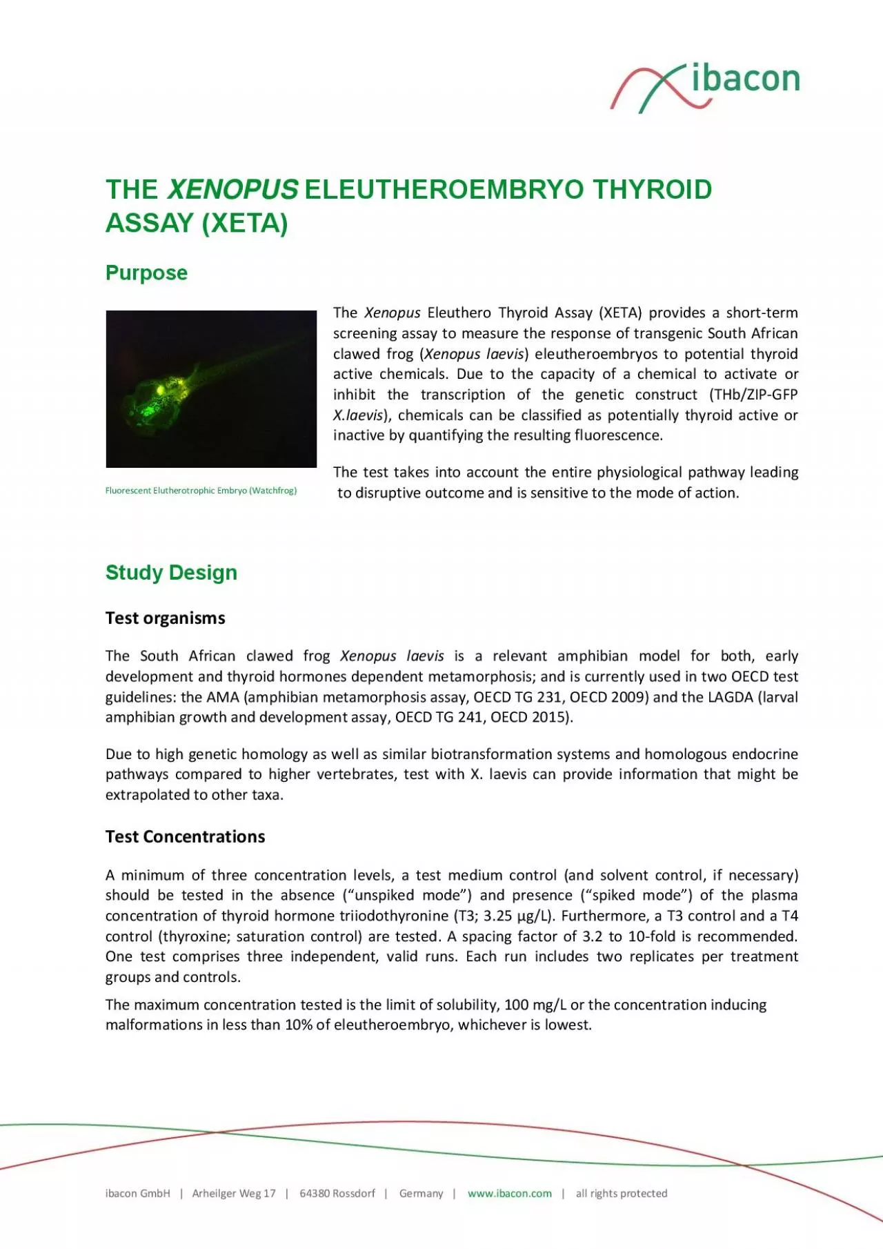 PDF-iacon DmH Arheilger Weg Rossdorf