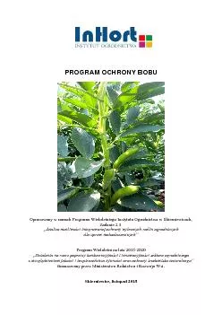 PROGRAM OCHRONY