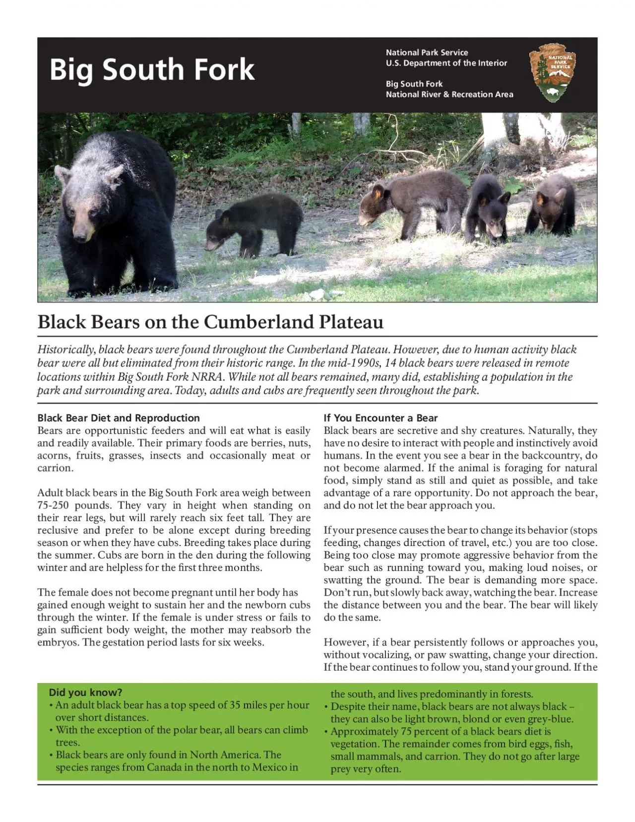 PDF-Black Bears on the Cumberland Plateau