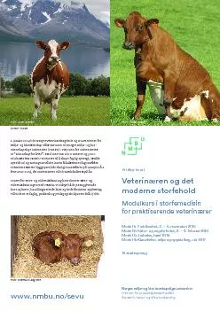 Veterinren og det