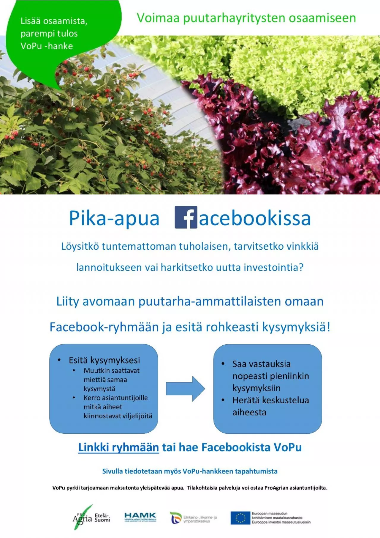 PDF-ebookissa