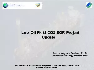 Lula Oil Field COEOR Project Update