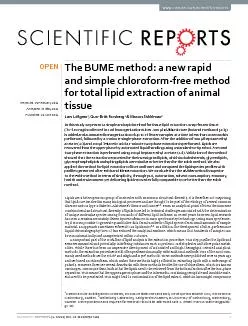 The BUME method a new rapid and simple chloroformfree method for tot