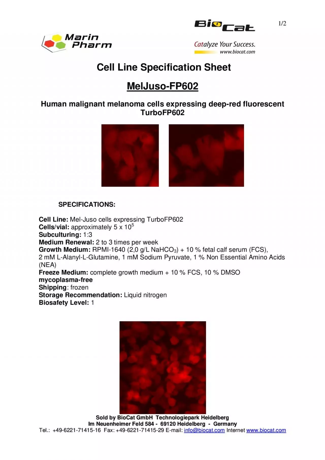 PDF-Cell LiCells