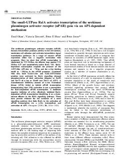 PDF-ORIGINALPAPERSThesmallGTPaseRalAactivatestranscriptionoftheurokinasep