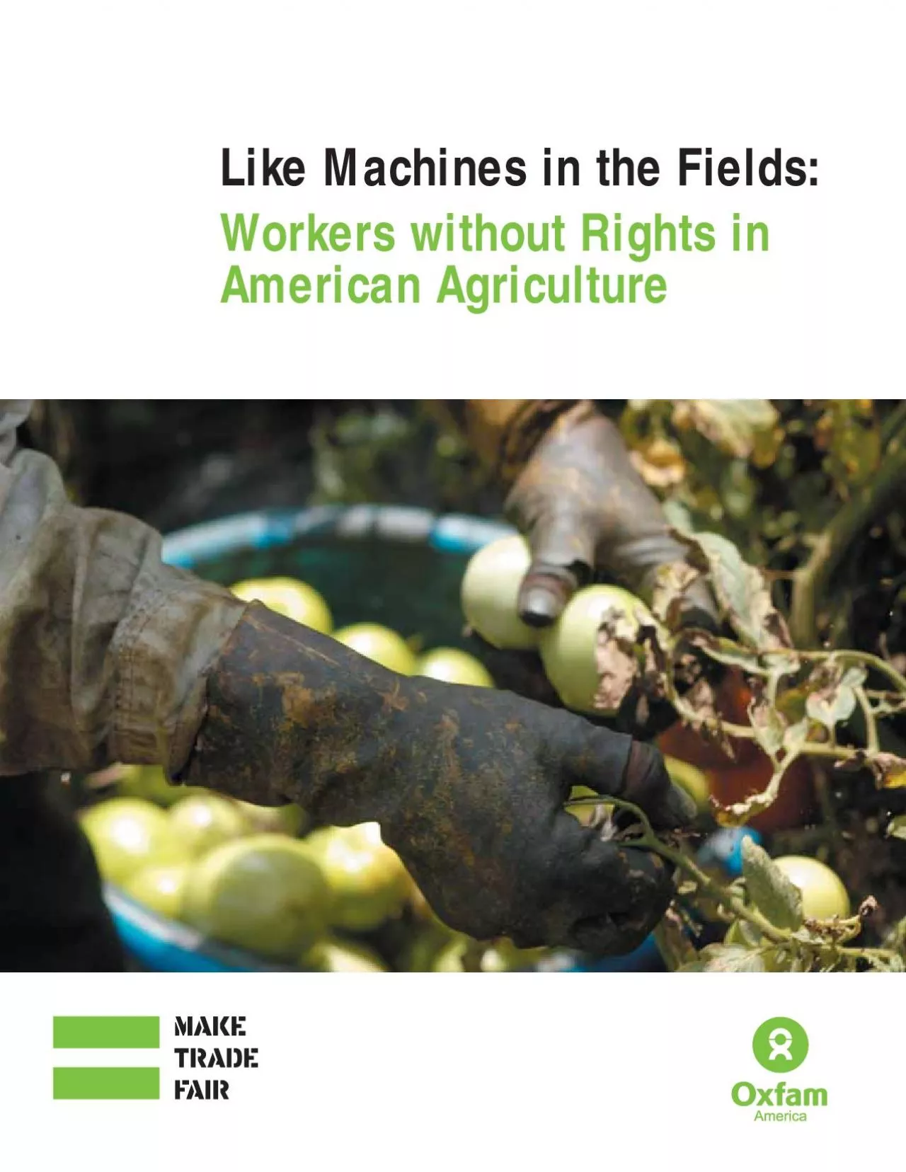 PDF-Like Machines in the FieldsWorkers without Rights in