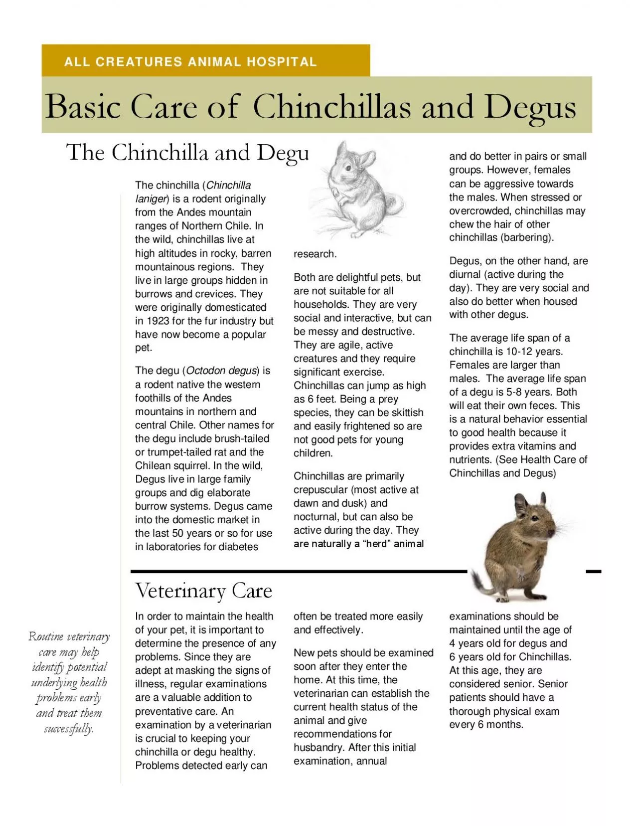 PDF-ALL CREATURES ANIMAL HOSPITAL