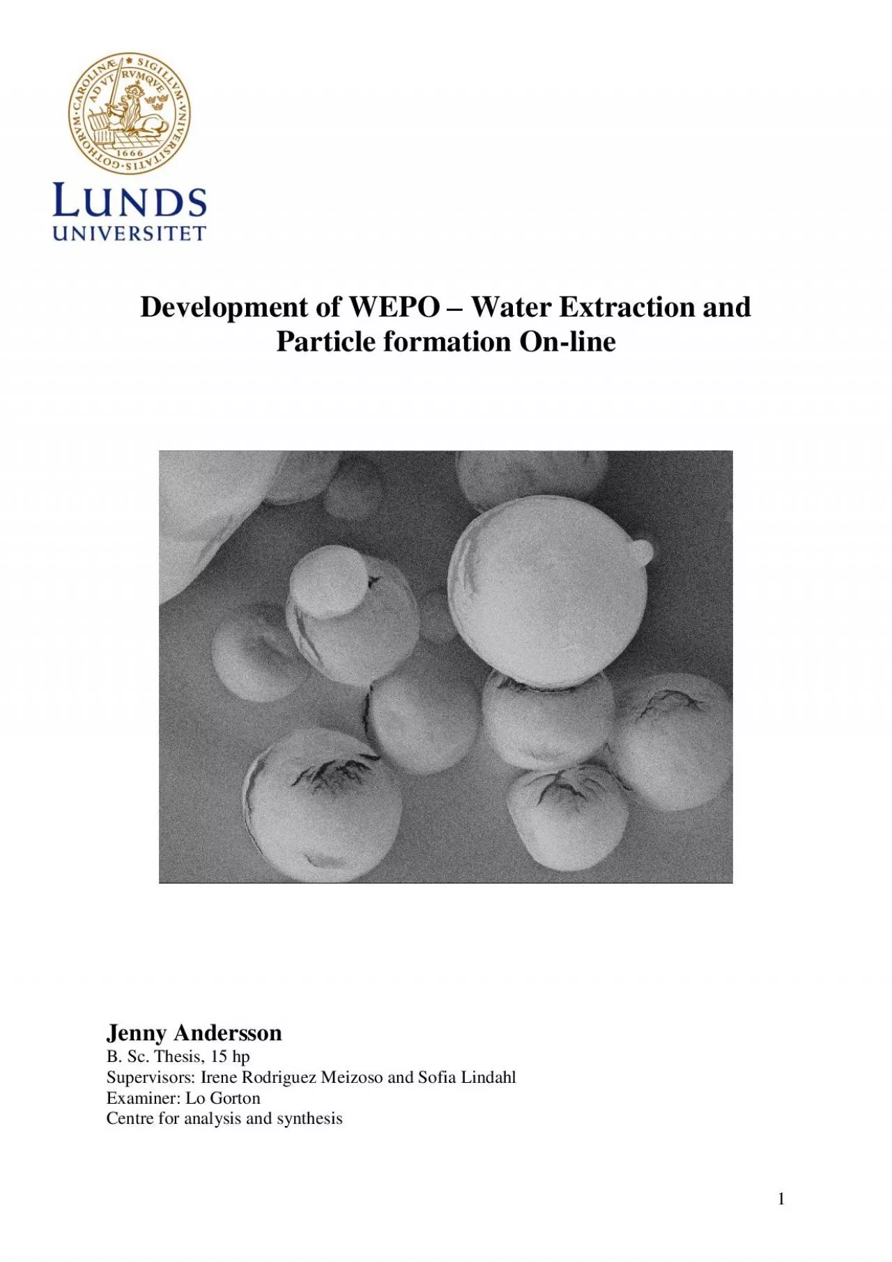 PDF-Development of WEPO