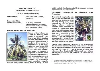 PDF-Coconut Variety For Commercial Buko Production Tacunan Green Dwarf T