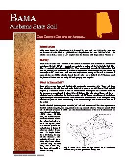 Alabama State Soil