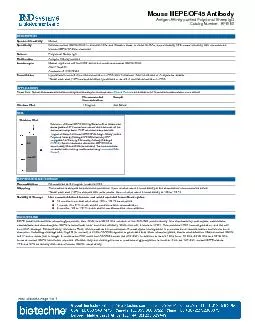 af6150.pdf