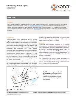 Xona Microfluidics Inc  2021