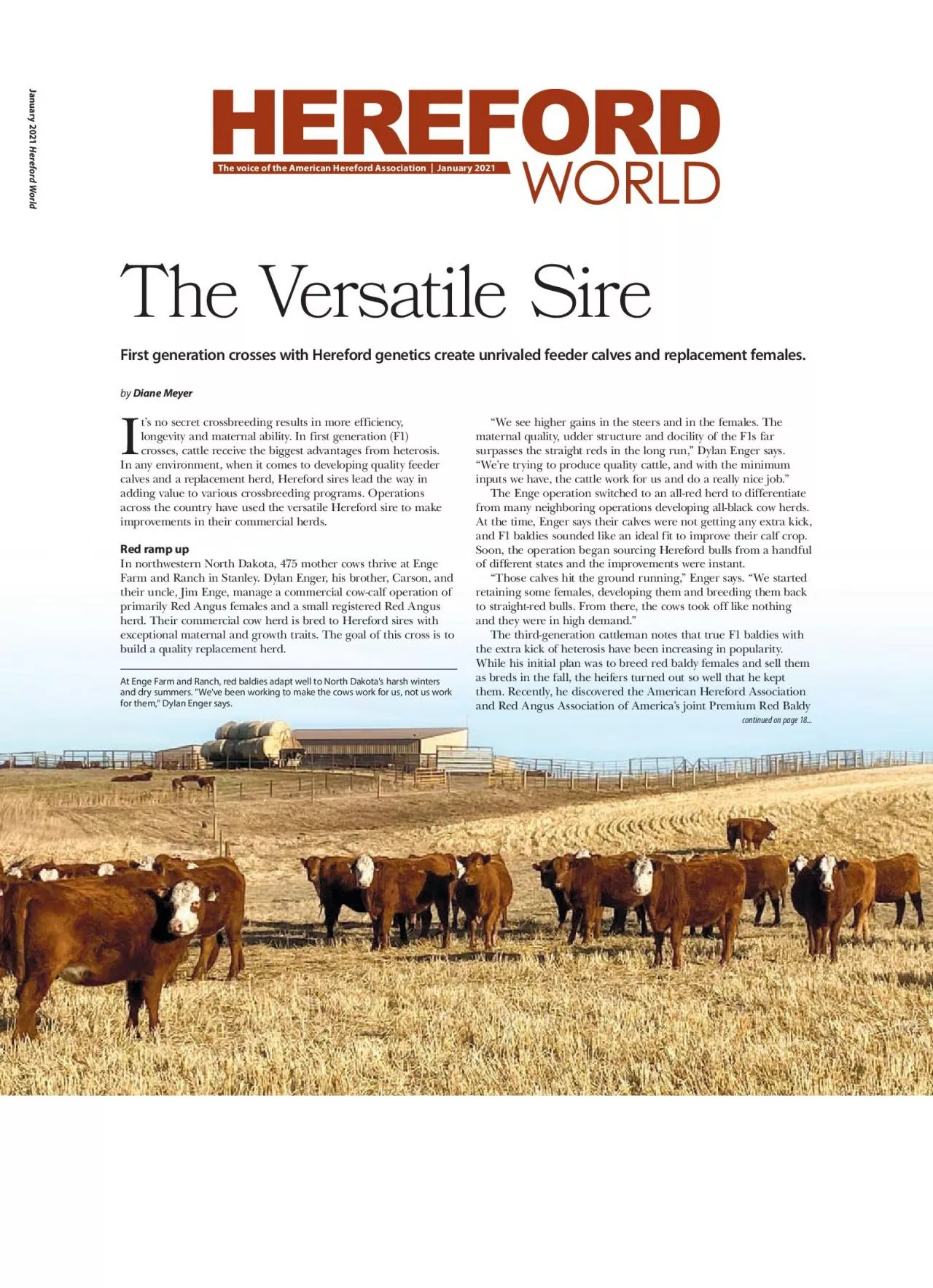 PDF-January 2021 Hereford WorldThe Versatile SireFirst generation crosses