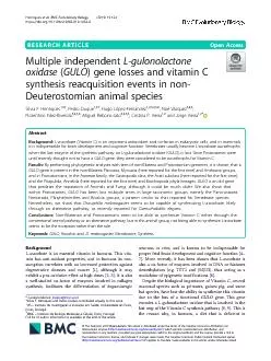 VitaminCleadstothelethaldeficiencydiseasescurvyAnimalspecieswherethe