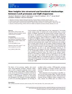 NewinsightsintostructuralandfunctionalrelationshipsbetweenLonAprotease