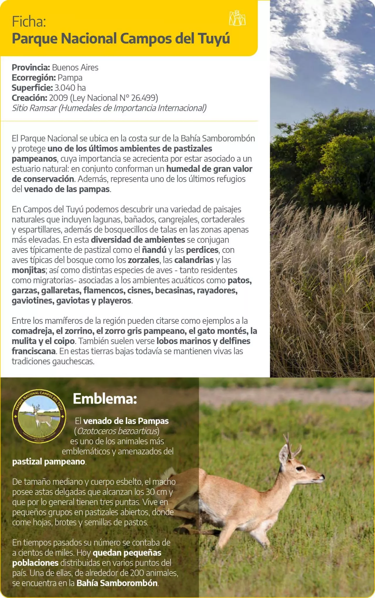 PDF-Ficha Parque Nacional Campos del Tuy