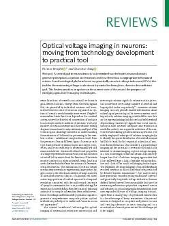 Brain functions observed as an animals or humans goaldirected acti