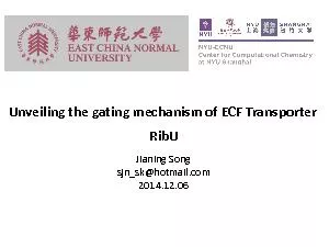Unveiling the gating mechanism of ECF Transporter