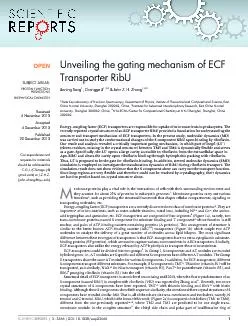 UnveilingthegatingmechanismofECFTransporterRibUJianingSongChanggeJiJ