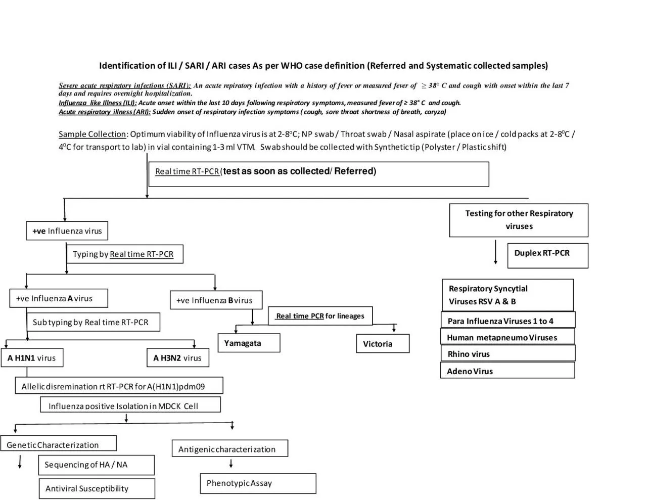 PDF-Identification of ILI SARI ARI