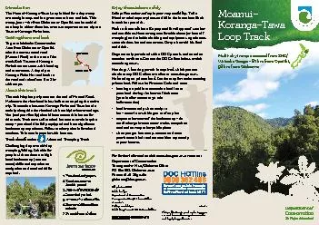 Moanui150Koranga150Tawa Loop Track