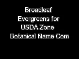 Broadleaf Evergreens for USDA Zone  Botanical Name Com