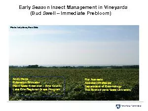 Early Season Insect Management in Vineyards