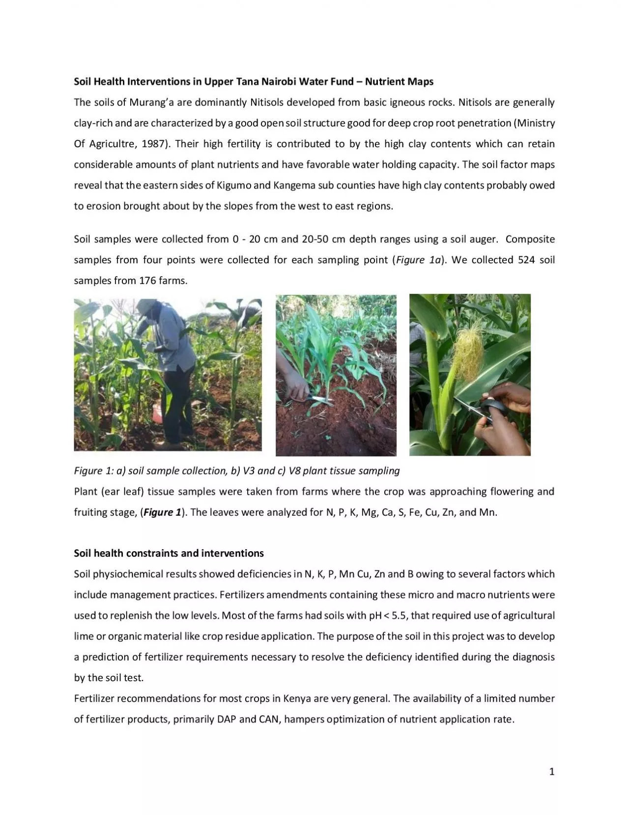 PDF-Soil Health Interventions in Upper Tana Nairobi Water Fund