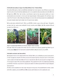 Soil Health Interventions in Upper Tana Nairobi Water Fund