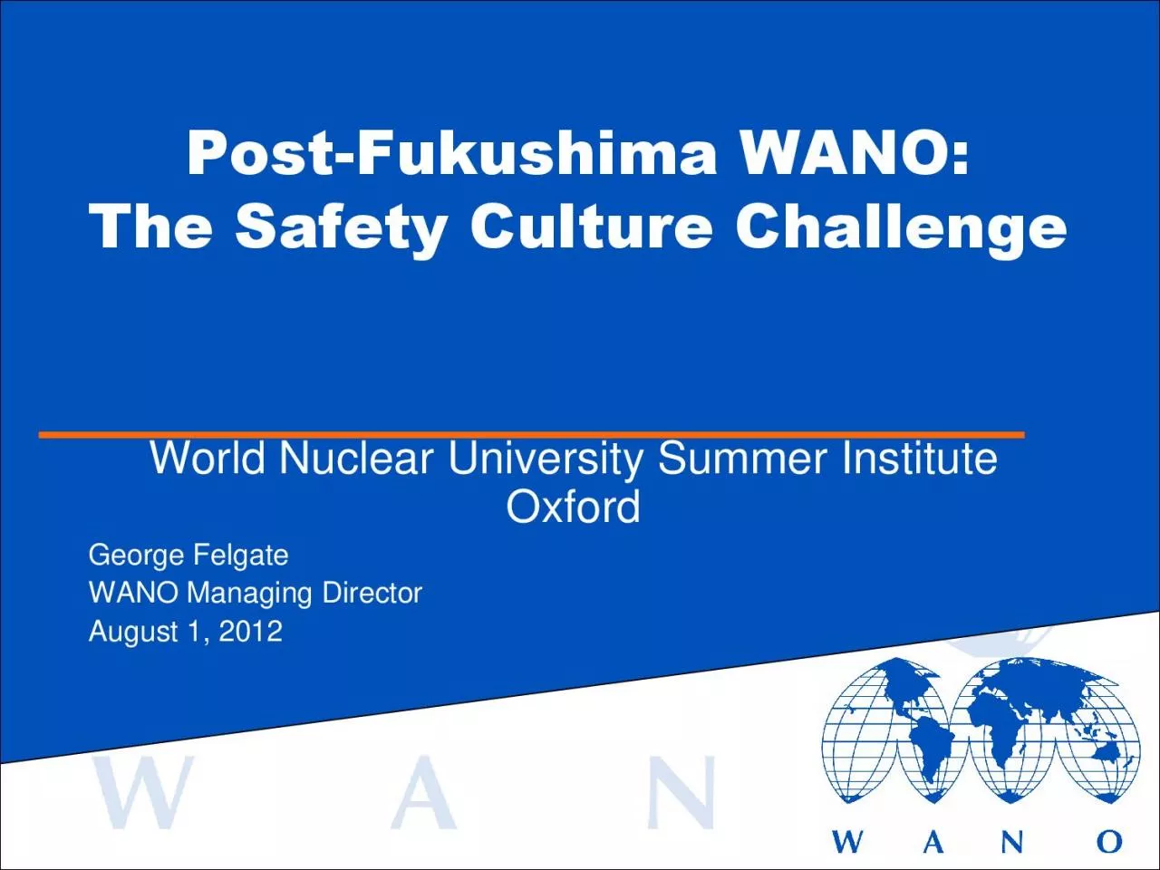 PDF-Fukushima WANO