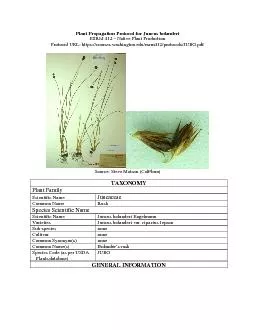 Plant Propagation Protocol