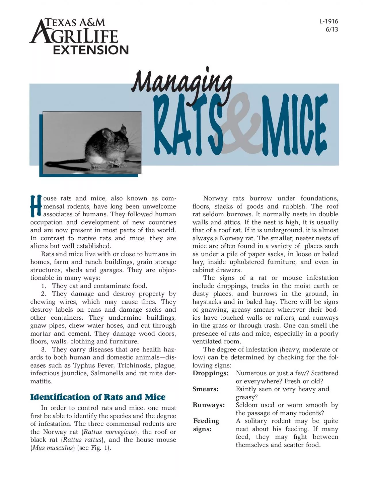 PDF-ouse rats and mice also known as com