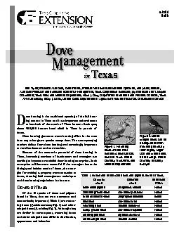 Mourning doves occur over most of North America