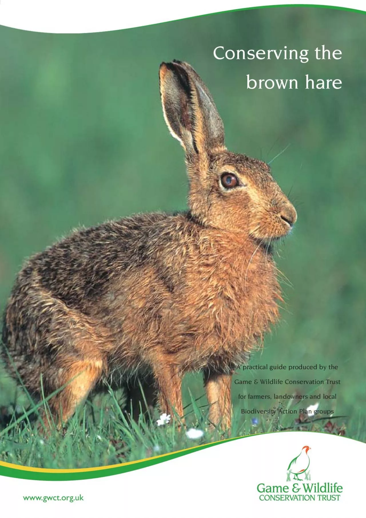 PDF-Conserving thebrown hare