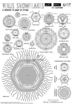 Sputnik virophageMimivirusneutralisedcoronavirusadenovirusvectorvaccin