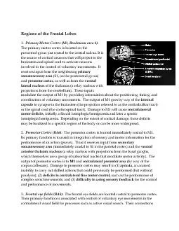 Regions of the Frontal Lobes