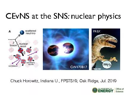 Expansion converges at low densities for nite nuclei but not at high