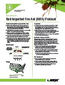 Understanding Red Imported Fire Ants