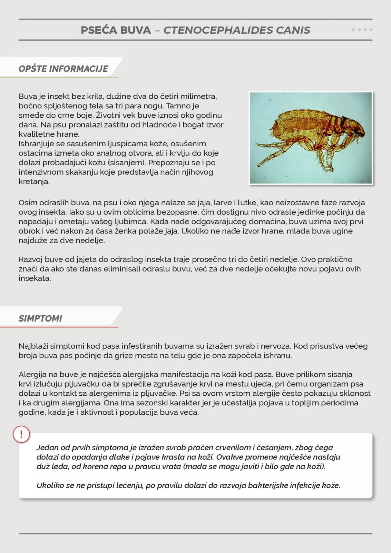 PDF-CTENOCEPHALIDES CANIS