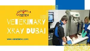 Veterinary Clinic Abu Dhabi
