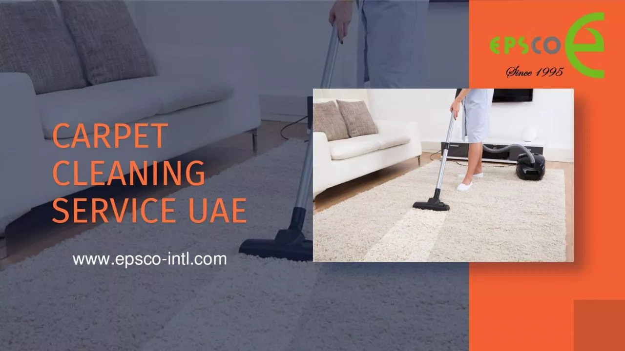 PDF-Carpet Cleaning Service