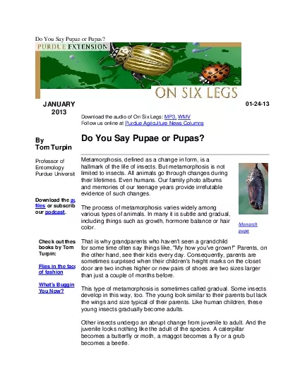 Do You Say Pupae or Pupas