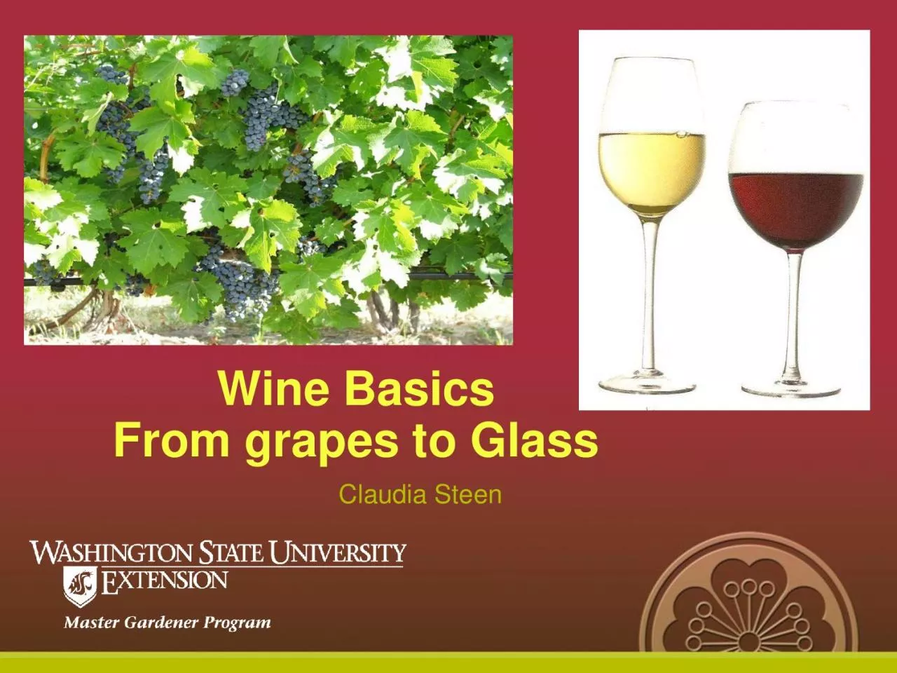 PDF-Wine Basics