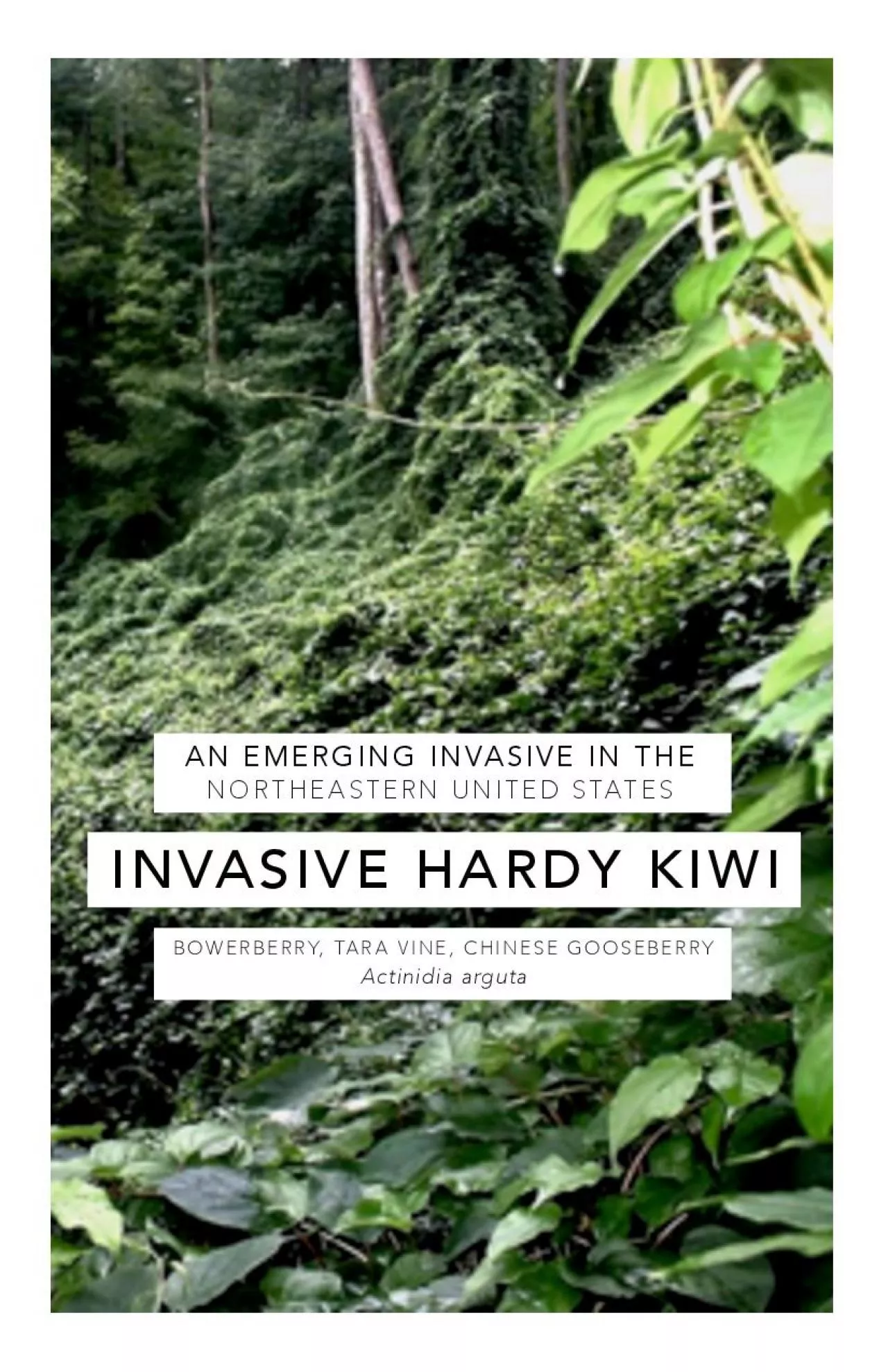 PDF-Morristown National Historical Park in New Jersey Hardy kiwi vines i