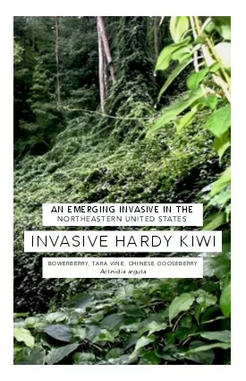 Morristown National Historical Park in New Jersey   Hardy kiwi vines i