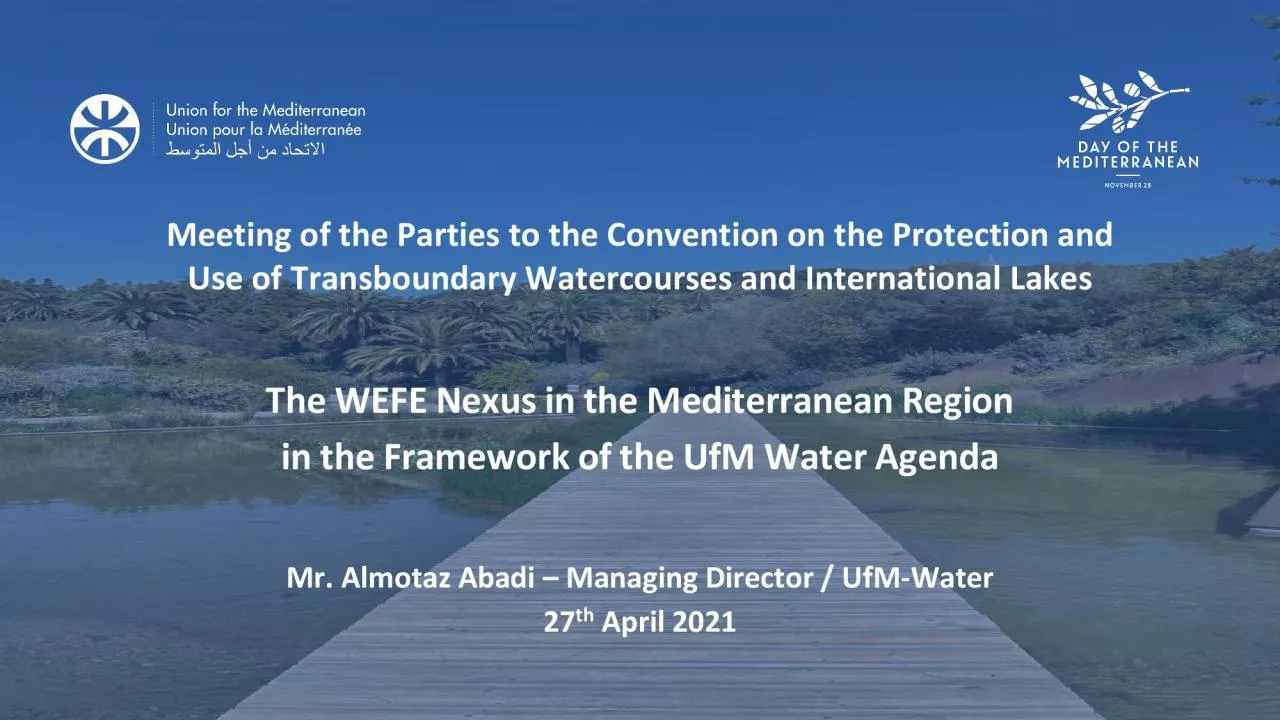 PDF-Mr Almotaz Abadi Managing Director UfMWaterApril 2021The WEFE Nexus